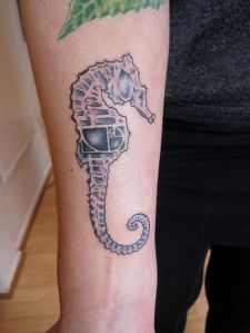 1621990_707022335998011_810748816_n